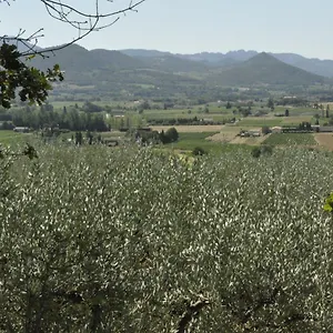Soleil Et Ombre France